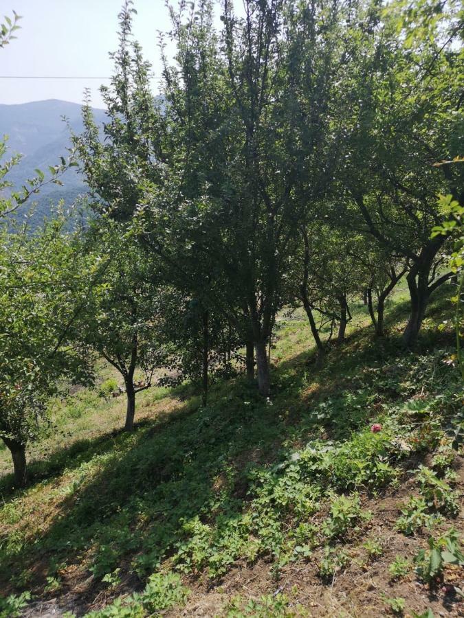 Rubina Bed And Breakfast Tatev Dış mekan fotoğraf